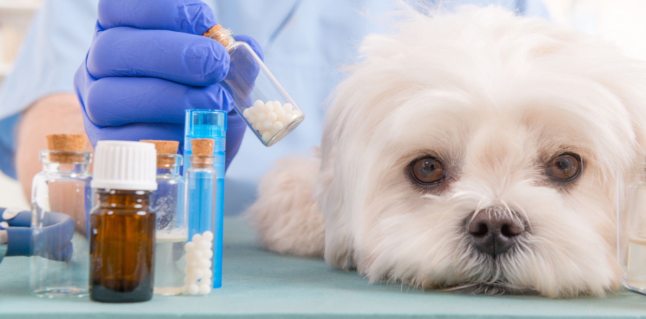 Veterinary Clinics & Hospital Medical Waste Services